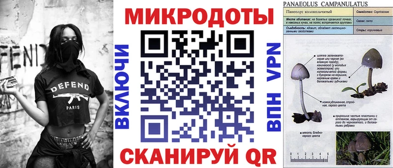 blacksprut ссылка Тетюши Галлюциногенные грибы Magic Shrooms